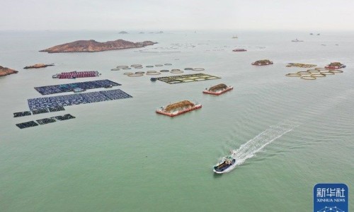 食物热量表官方数据-食物基本热量表大全、食物基本热量表大全图 -食物基本热量表大全网